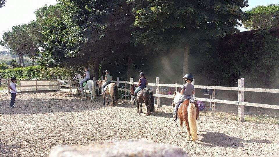La Melazza Alojamento de Turismo Rural *