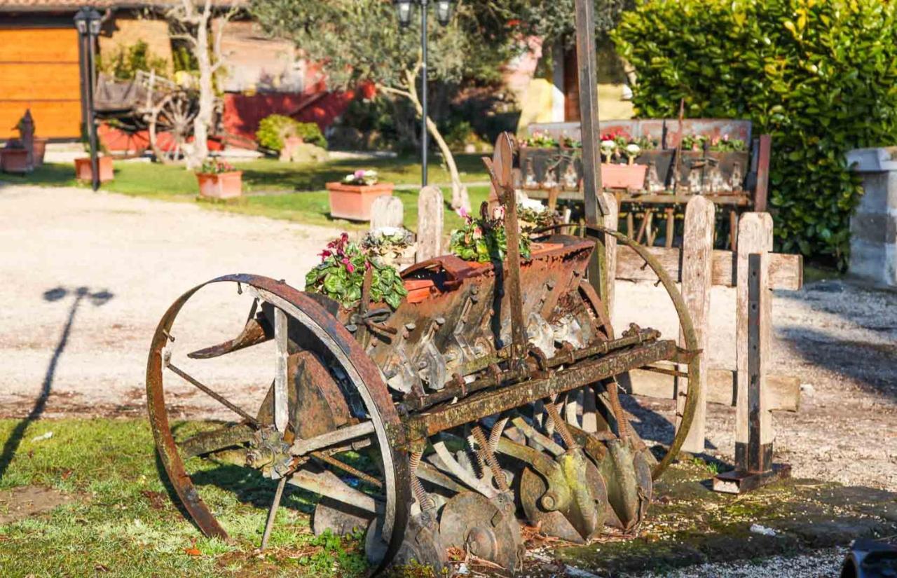 Alojamento de Turismo Rural La Melazza *