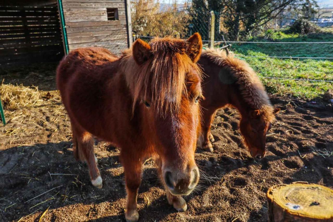 La Melazza Alojamento de Turismo Rural Roma